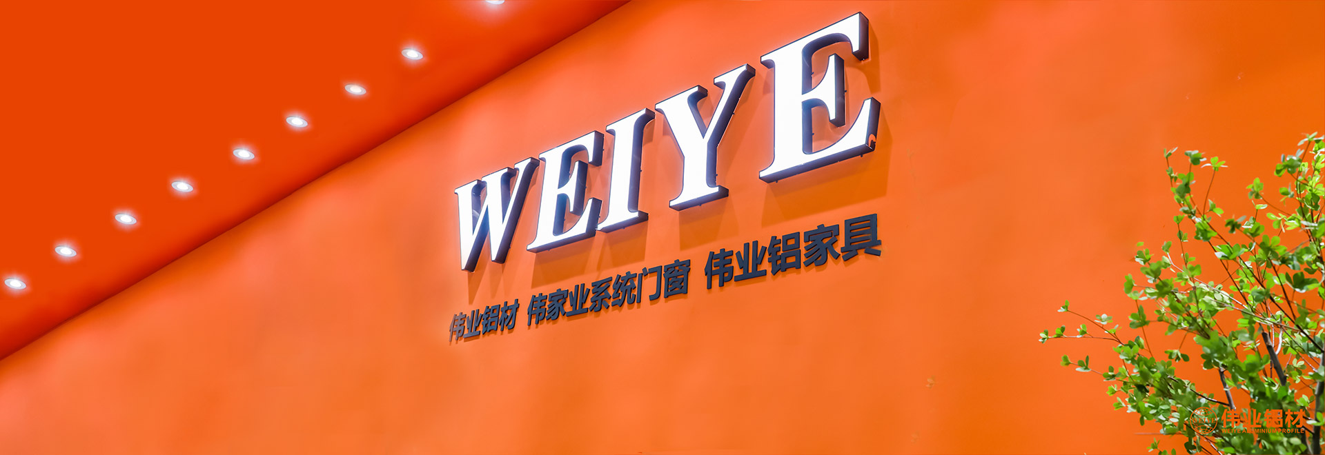 一定发(中国区)官方网站